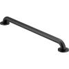 imageMoen R8930BL Concealed Grab Bar AC 30Inch Bathroom Safety Grab Bar
